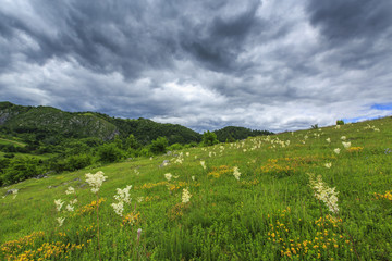 Fototapeta na wymiar Beautiful mountain scenery in the Alps in summer