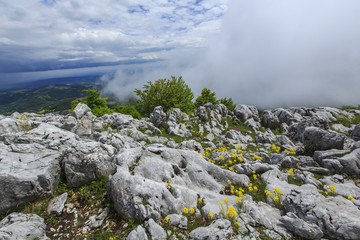 Beautiful mountain scenery in the Alps in summer and clouds