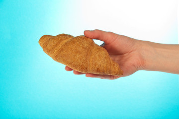 Fresh croissant on a palm