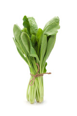 choy sum vegetable bunch on white background