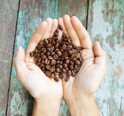 coffee beans in the hands of the human