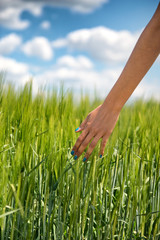 Young woman standing in the sun in a green field