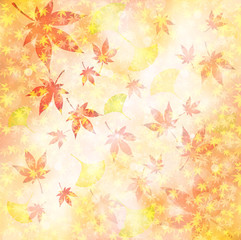 Fototapeta premium もみじ 紅葉 背景