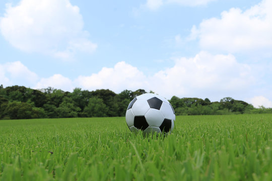 6 Best サッカー素材 Images Stock Photos Vectors Adobe Stock