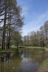 公園の風景