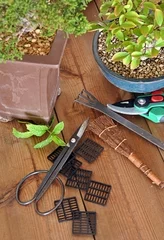 Crédence de cuisine en verre imprimé Bonsaï bonsai with tools