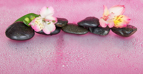 Alstroemeria and stones in water drops