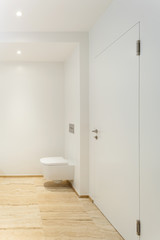 Fototapeta na wymiar modern bathroom, wc