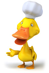 Duck