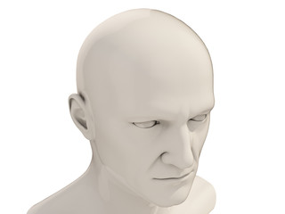 Human head isolated