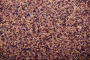 Background of mixed seeds