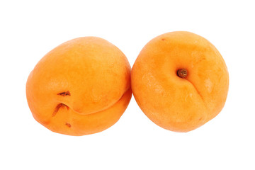 Fresh Apricot