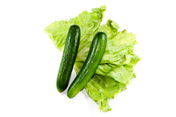 Frischer Eisberg Salat mit Gurken