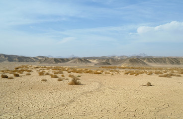 Fototapeta na wymiar Egyptian Desert