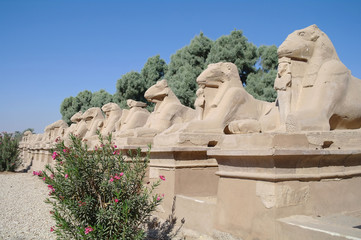 Ancient statues of Ram-headed sphinxes in Karnak temple, Luxor