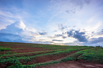 nature landscape