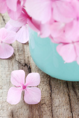 Obraz na płótnie Canvas Closeup of a fallen pink hydrangea flower on wooden table