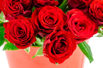 bouquet of red roses on a white background