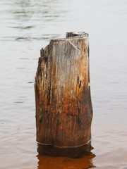 Naklejka premium old piles in the lake