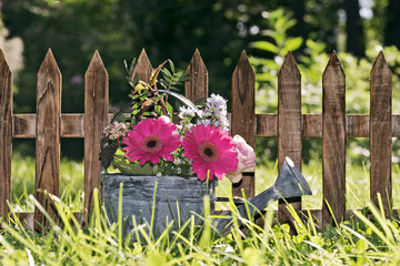 Fototapeta premium woman in the garden