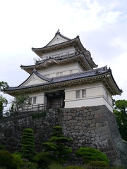 Fototapeta premium 小田原城天守閣