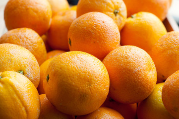 Citrus fruit - grapefruit