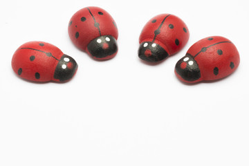 Isolated ladybugs decoration with blank space