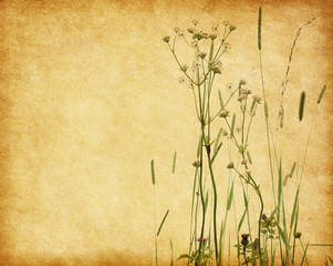 Grunge image with blooming wildflowers. Added paper texture