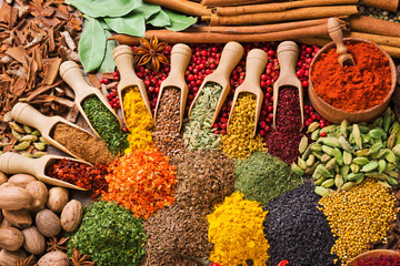 composition with different spices and herbs - obrazy, fototapety, plakaty