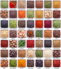 large collection of different spices and herbs