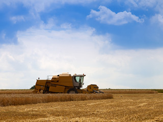 Fototapeta premium Mähdrescher