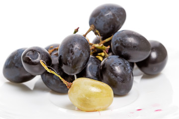 Two varieties of grapes