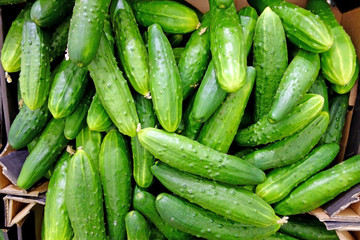 Cucumbers on a counter