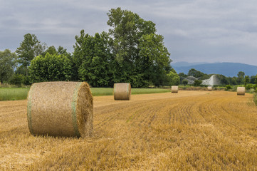 Fototapeta premium bales of hay and irrigation