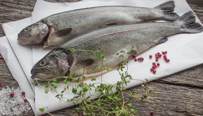 rainbow trout for baking