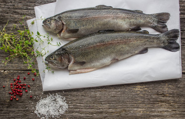 rainbow trout for baking