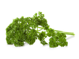 bunch of parsley isolated on white