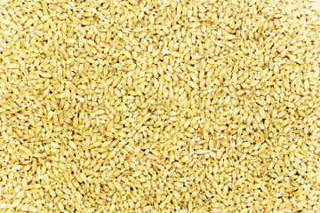 Pearl barley as background