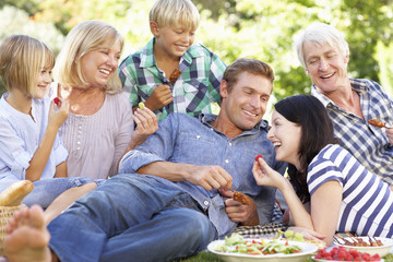 Family with picnic in park