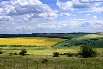 Fototapeta na wymiar Fields and meadows in the Voronezh region, Russia
