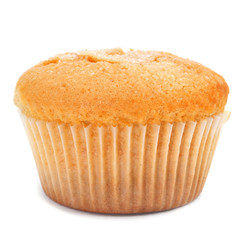 magdalena, typical spanish plain muffin