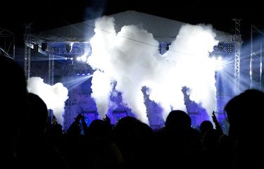 Cheering crowd at concert