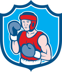 Amateur Boxer Stance Shield Cartoon