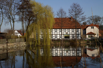 Fototapete bei efototapeten.de bestellen   