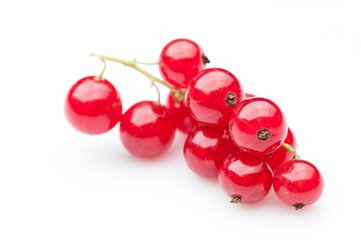 red currant