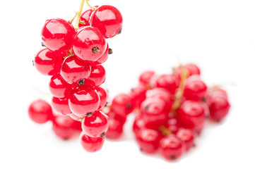 hang red currant