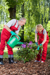 Fototapeta na wymiar Married couple watering and caring about flowers