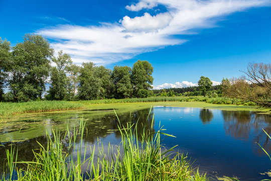 Panorama of summer morning lake