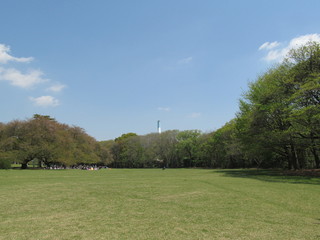 公園の広場