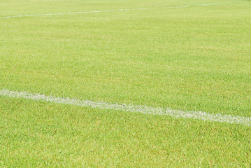 Obraz premium Green grass soccer field